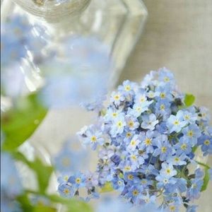 Meet your Posher, Elena